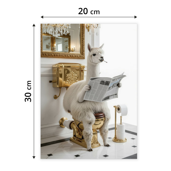 Plakat Lama z gazetą 20x30cm