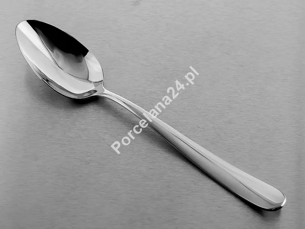 Komplet sztućców 24 cz. na 6 sób Pintinox 1929 - Maitre (2.5 mm) ECObox 23.MAI.K24