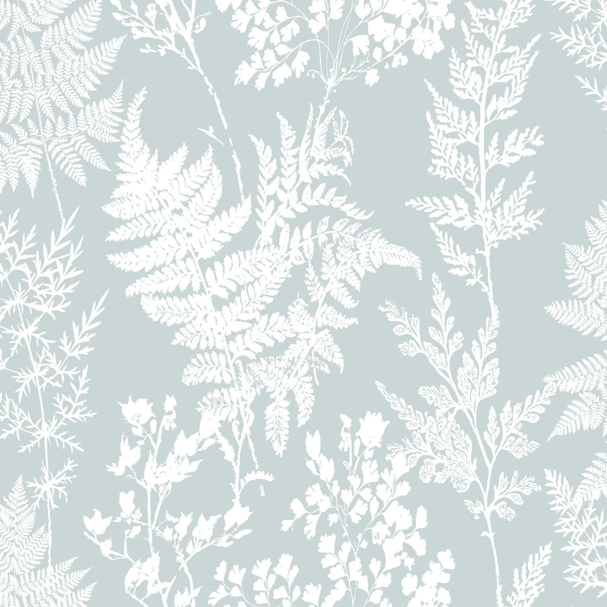 - Papier peint intissé fougères vert 1005x52cm