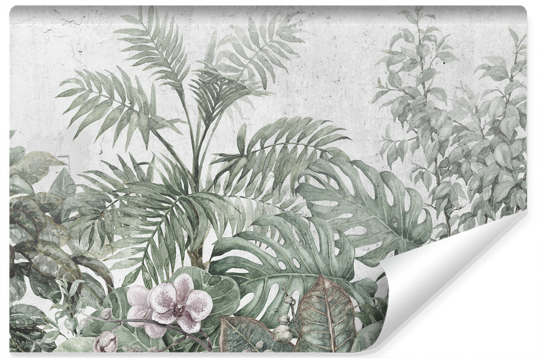 Fototapeta Tropikalne ROŚLINY Beton Mur 3D 90x60cm