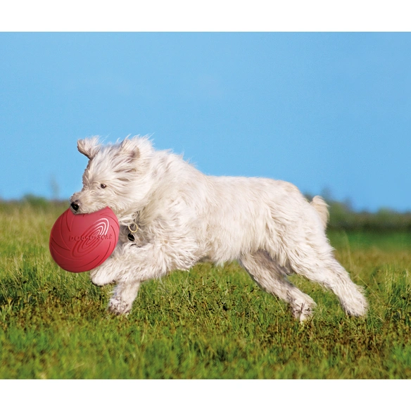 Hundespielzeug »Doggy Disc«, blau, Naturgummi