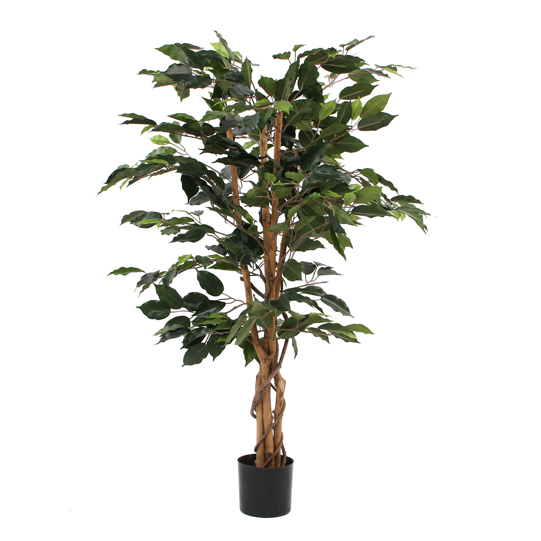 BENJAMINA - Ficus artificielle en pot H105