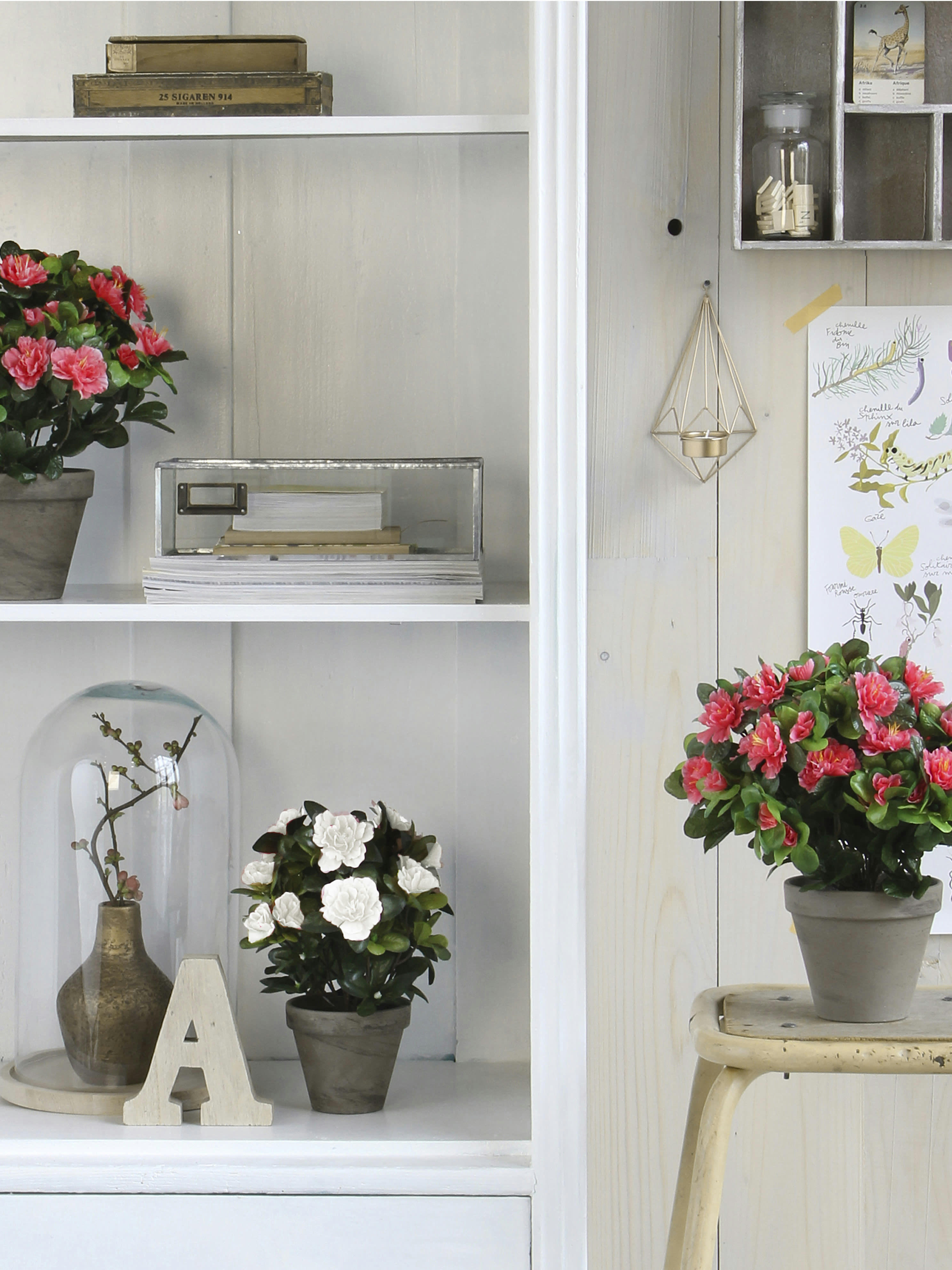 - Azalea artificielle blanc en pot H27