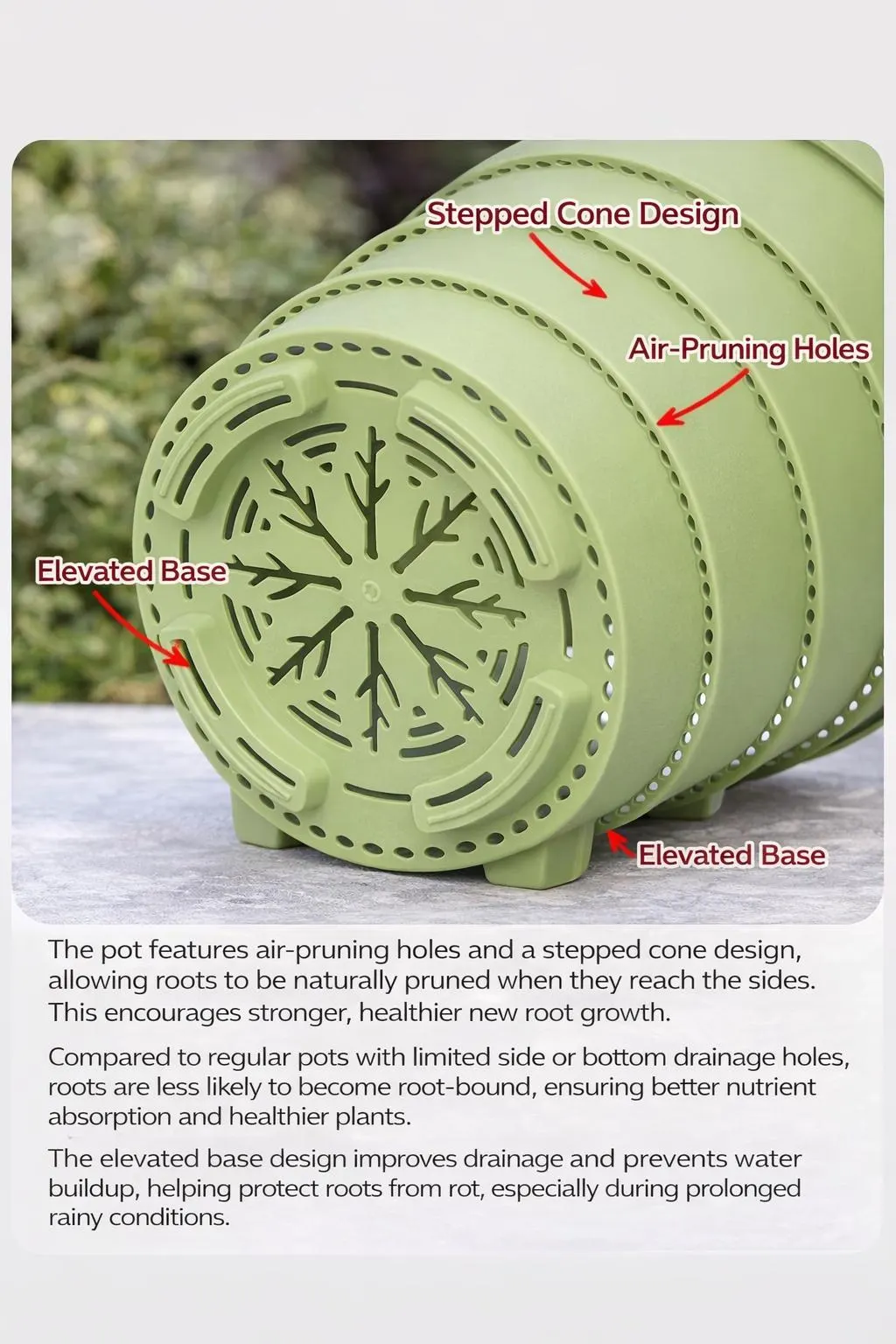 3 Gallon Plant Pot with Drainage Large Gallon Resin Plastic Planter for Roses Hydrangea Orchid Breathable Nursery Pot