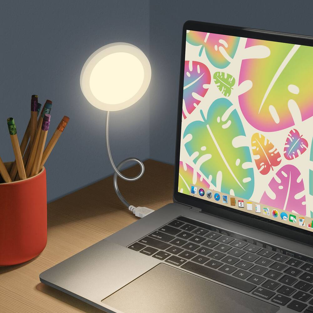 West & Arrow USB Light with Flexible Neck, White