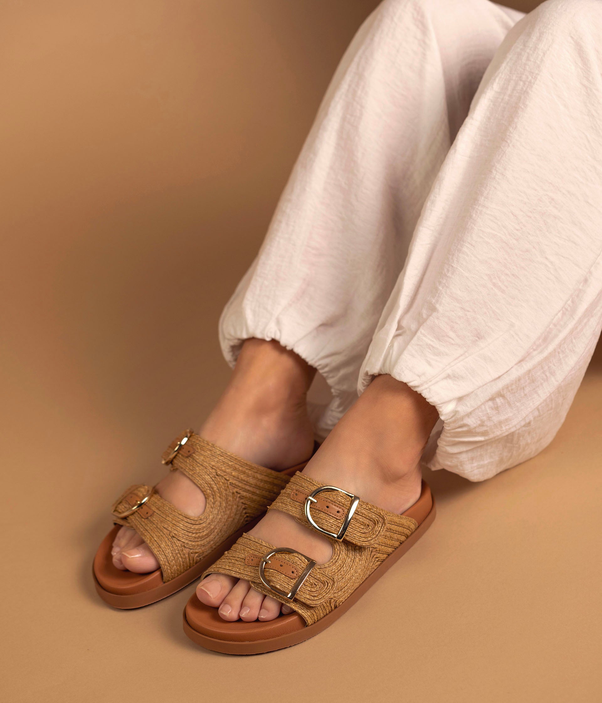 Mule Youna camel