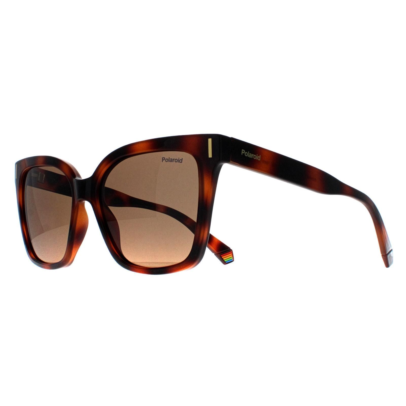 Polaroid Cat Eye Havana Bronze Polarized PLD 6192/S