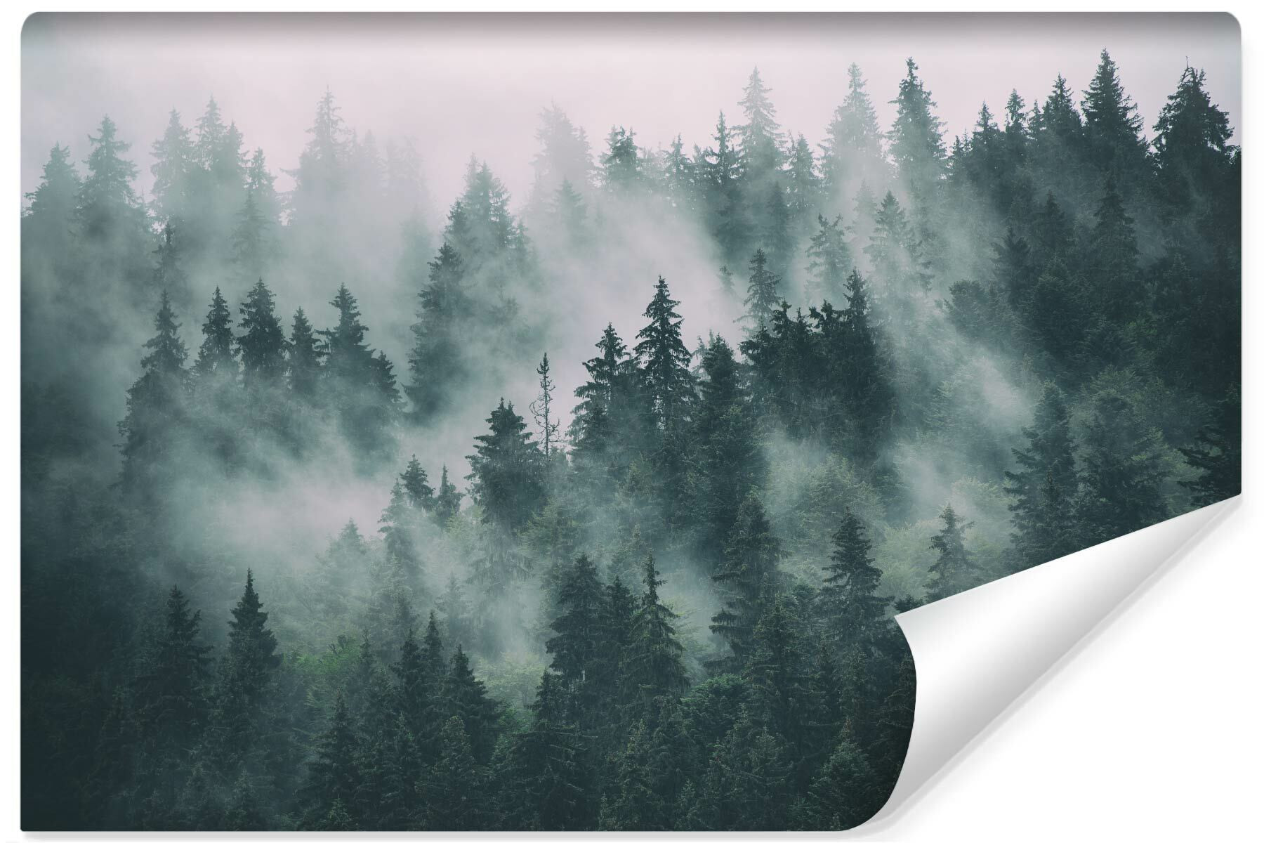 Fototapeta Do Sypialni Las We Mgle Efekt 3D 90x60cm