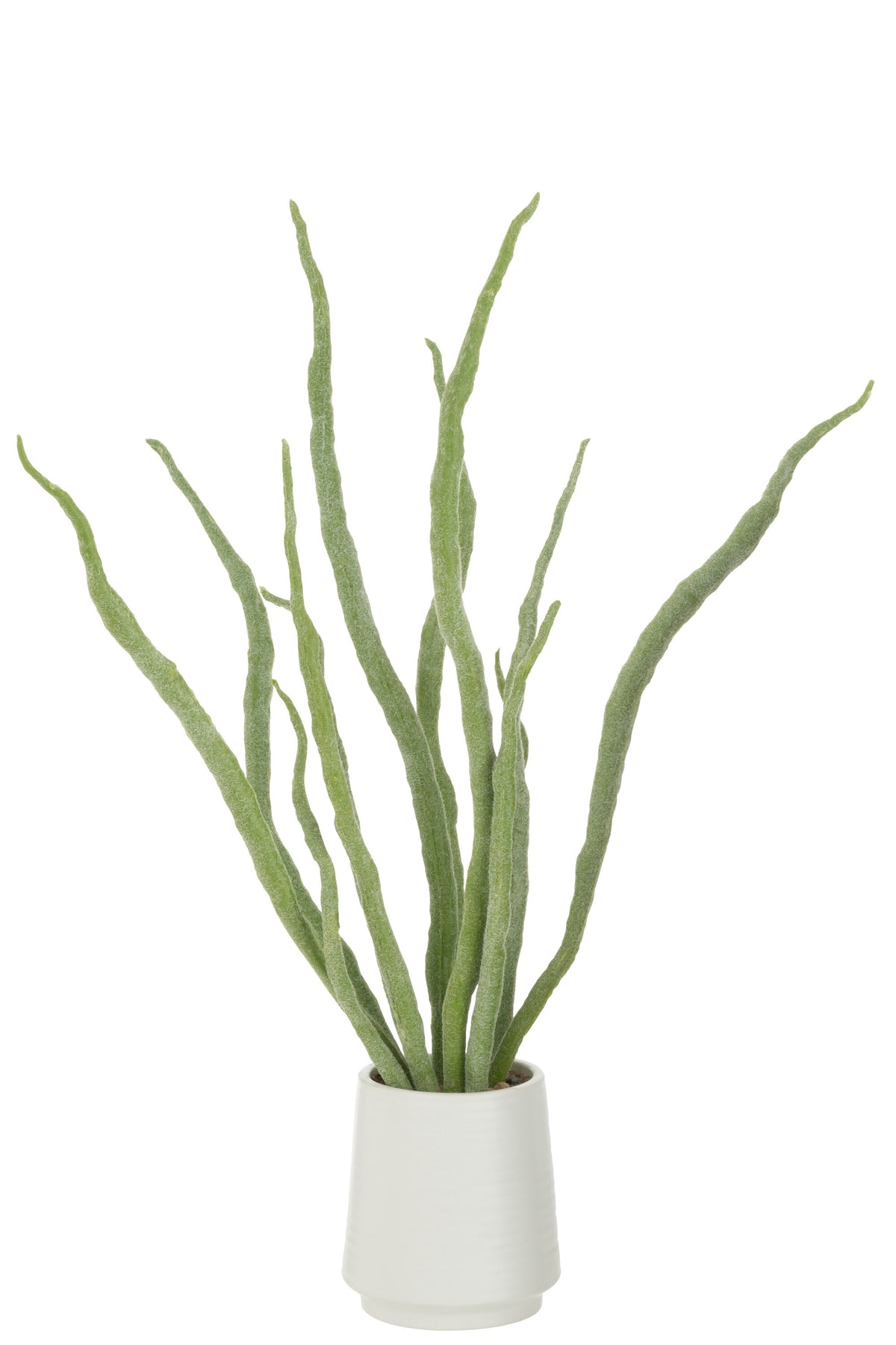 J-Line vetplant in pot - kunstmatig - groen