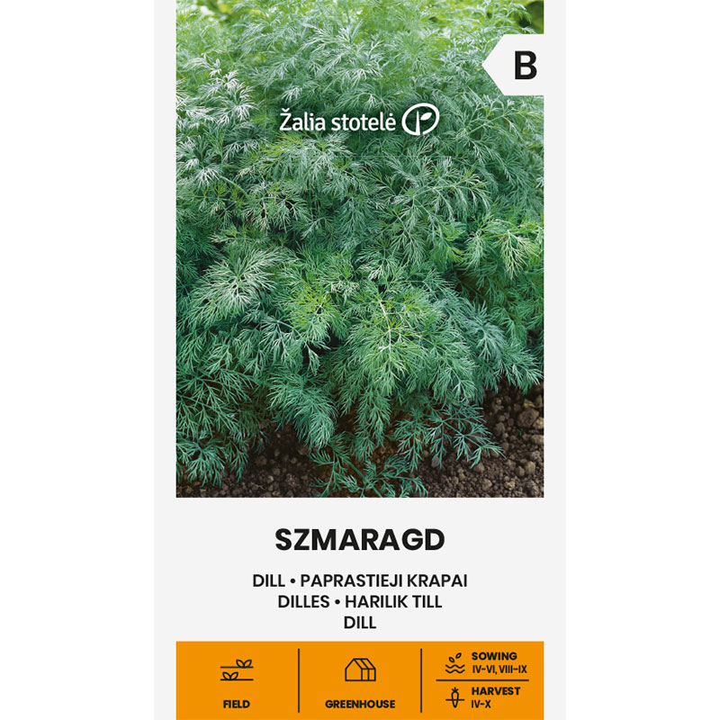 Dill 'Szmaragd'