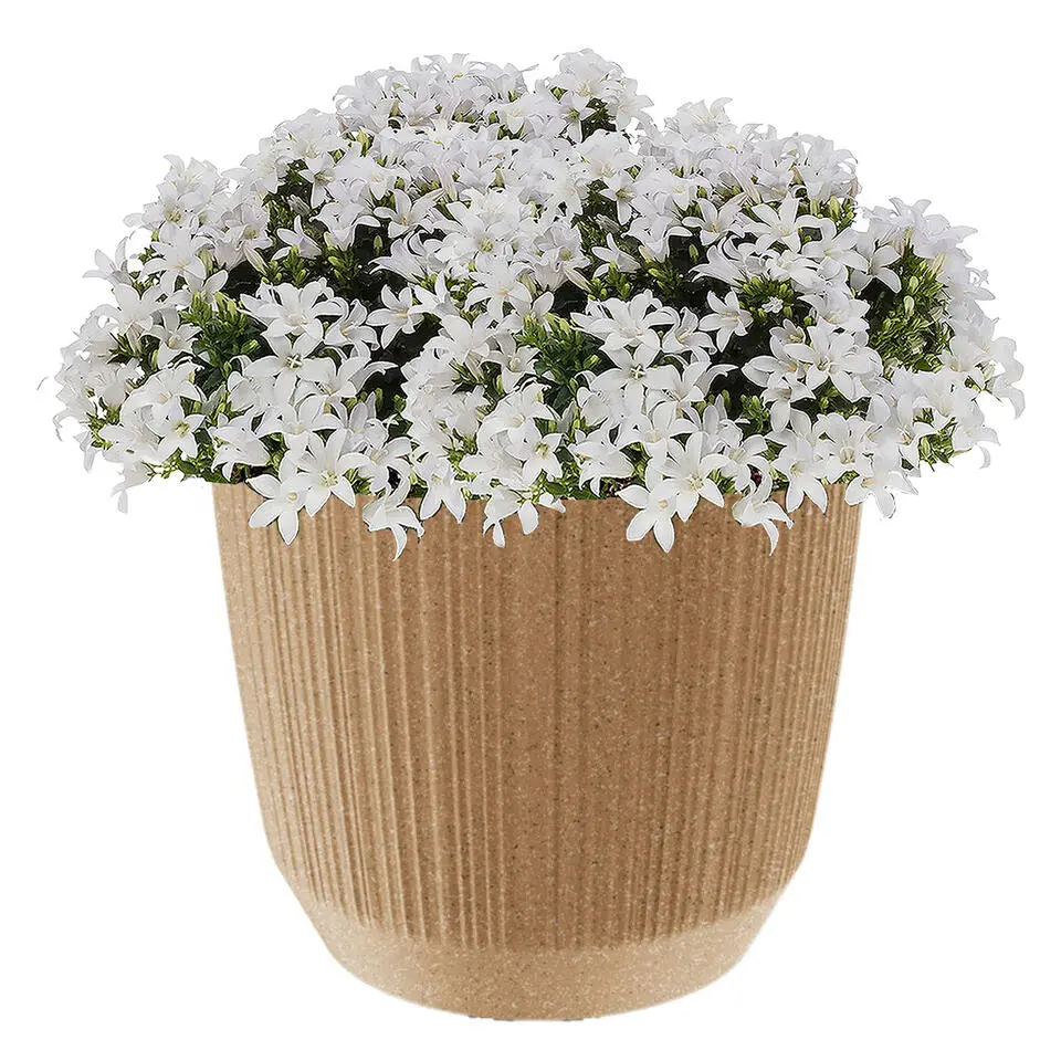 Prosperplast Plantenpot Eco - stripe - beige - D20xH17 cm