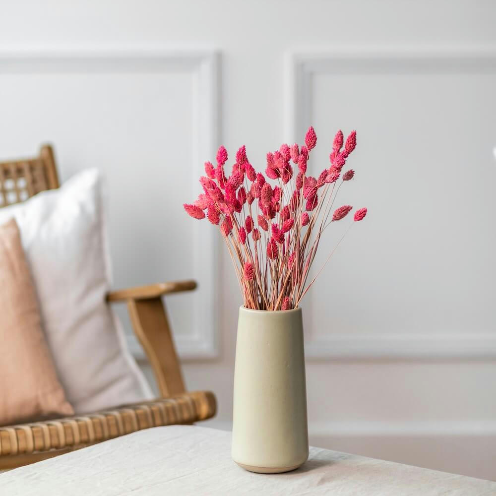 - Botte Phalaris rose foncé