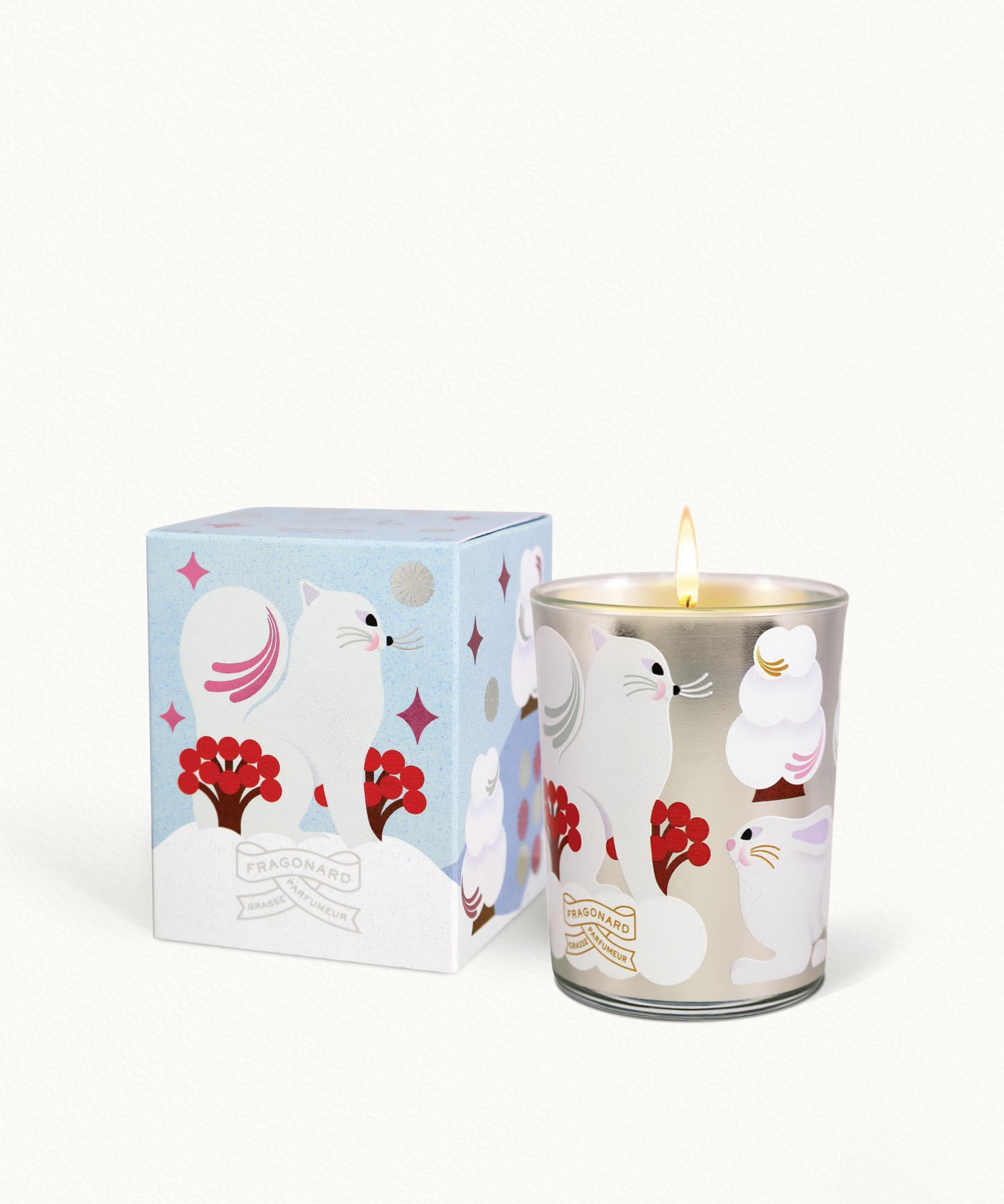 Rêve d'Hiver - Bougie en étui - Pot en verre décoré