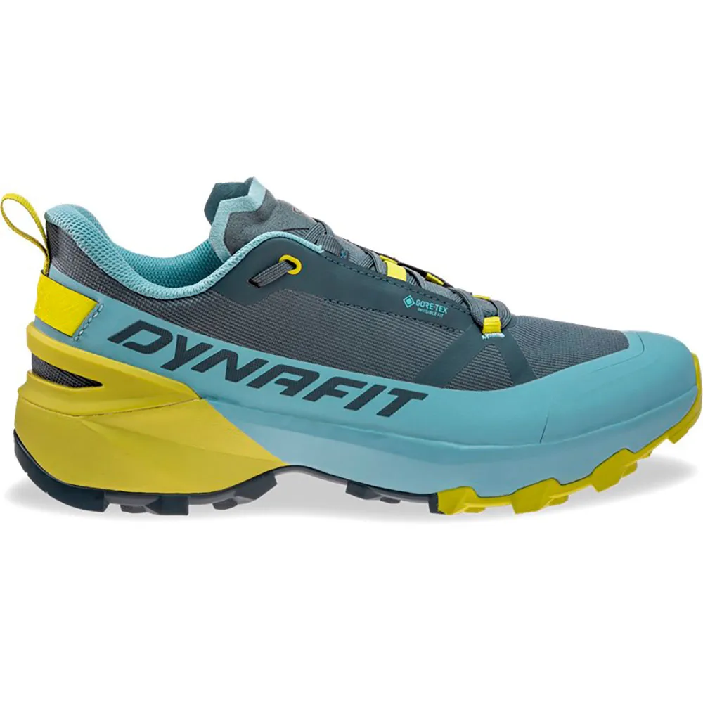 Dynafit Transalper 2 GORE-TEX® hiking shoes