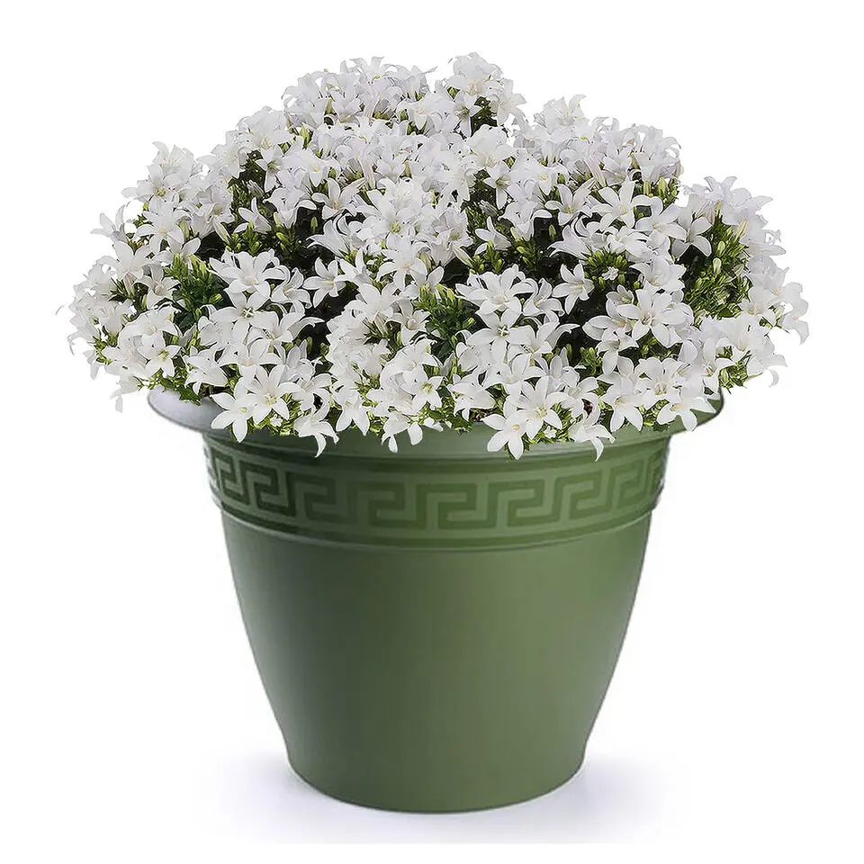 Forte Plastics Bloempot - groen - kunststof - 45 cm