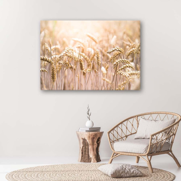Feeby Obraz na płótnie Zboże w słońcu 60x40