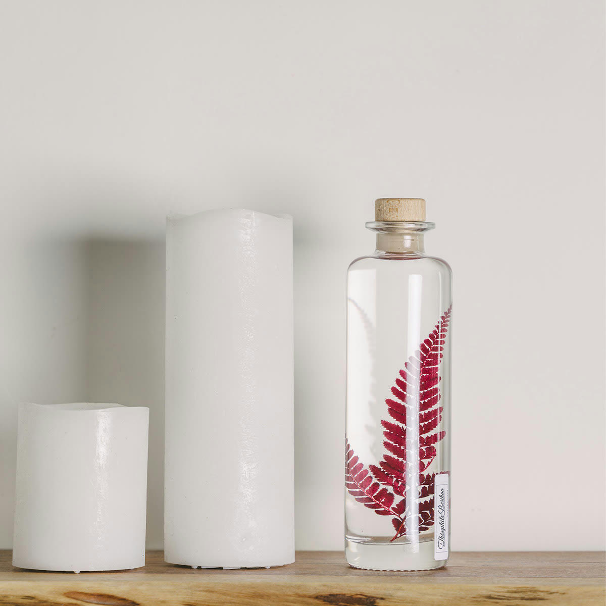 HERBARIUM DE THEOPHILE - Plante immergée Rumohra rouge