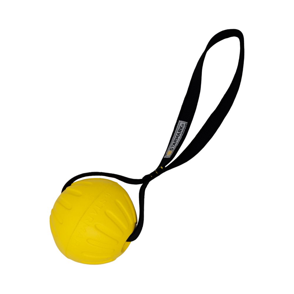 Starmark GripCord Durafoam Ball Loop