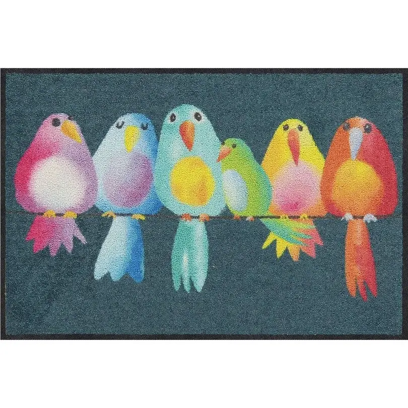 Fussmatte Rainbow Birds
