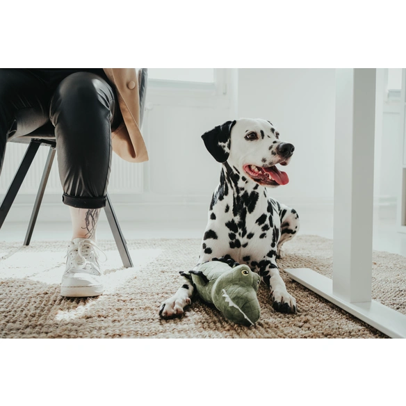 Hundespielzeug, mehrfarbig