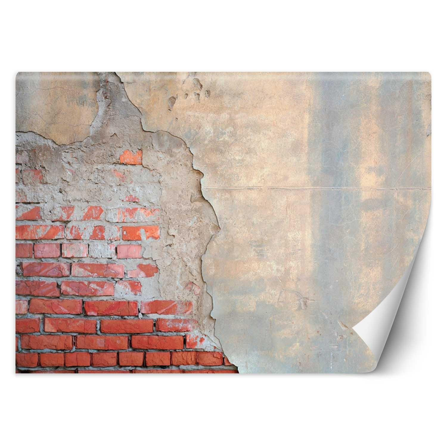 Feeby Fototapeta, Mur z cegły 150x105