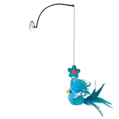 KONG Connects Window Teaser