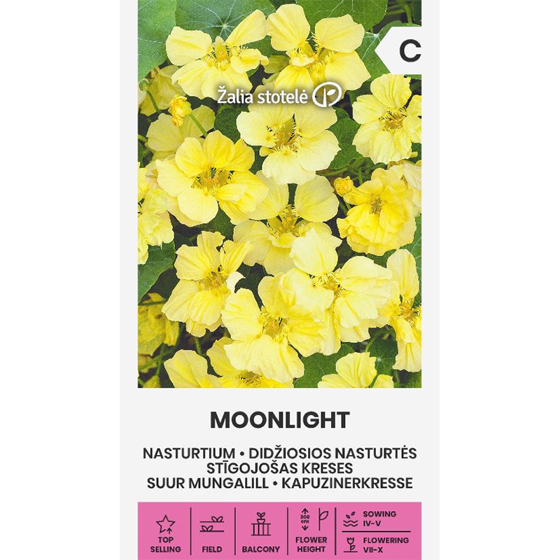 Indiankrasse 'Moonlight'