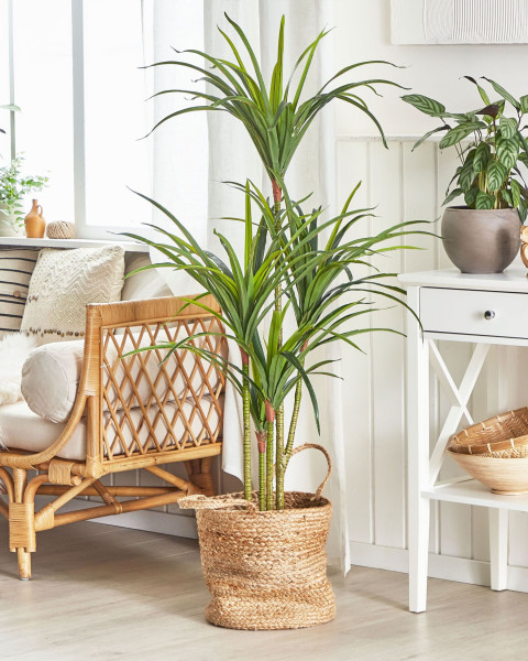 Sztuczna roślina dracena w doniczce 147 cm