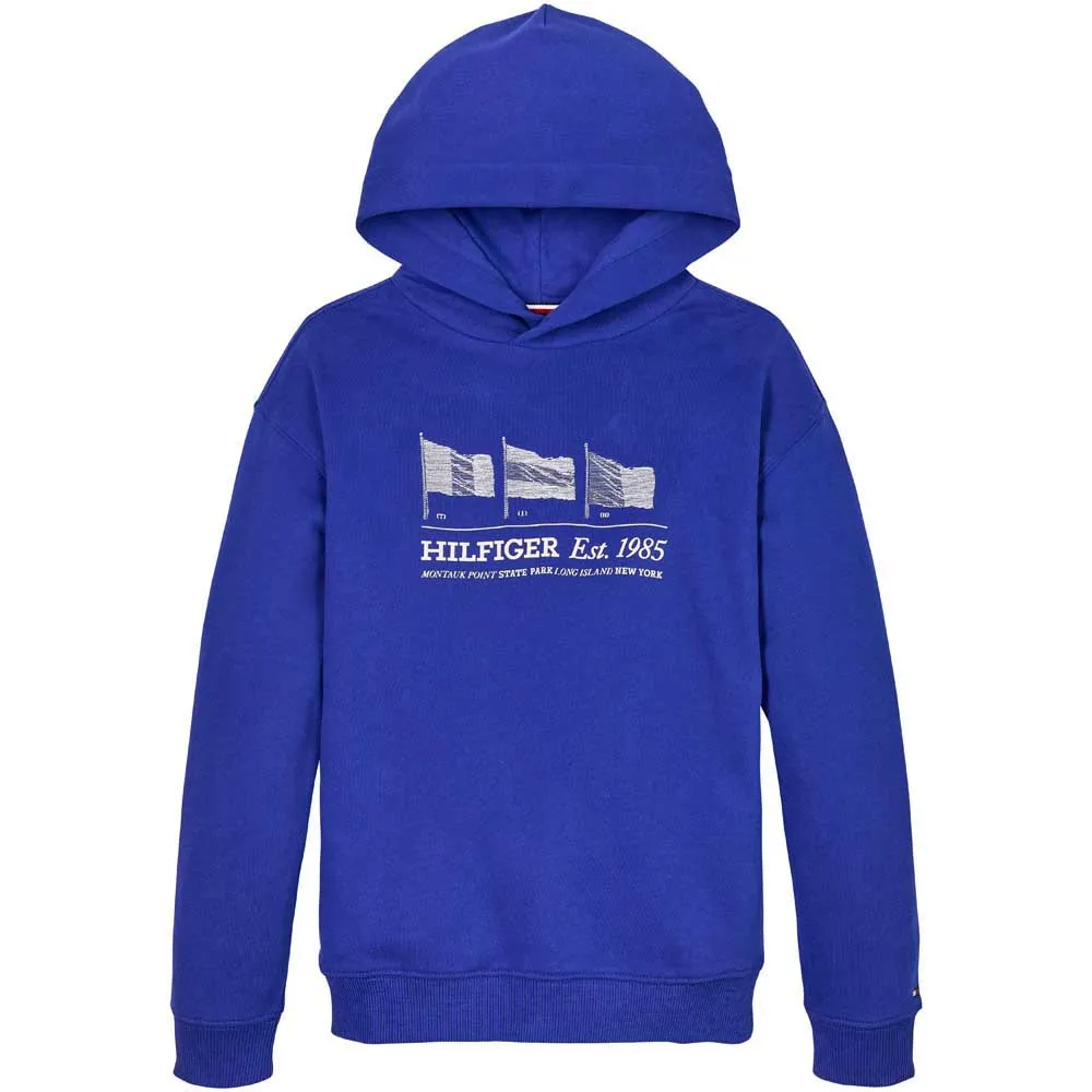 Tommy Hilfiger Waving Flag hoodie