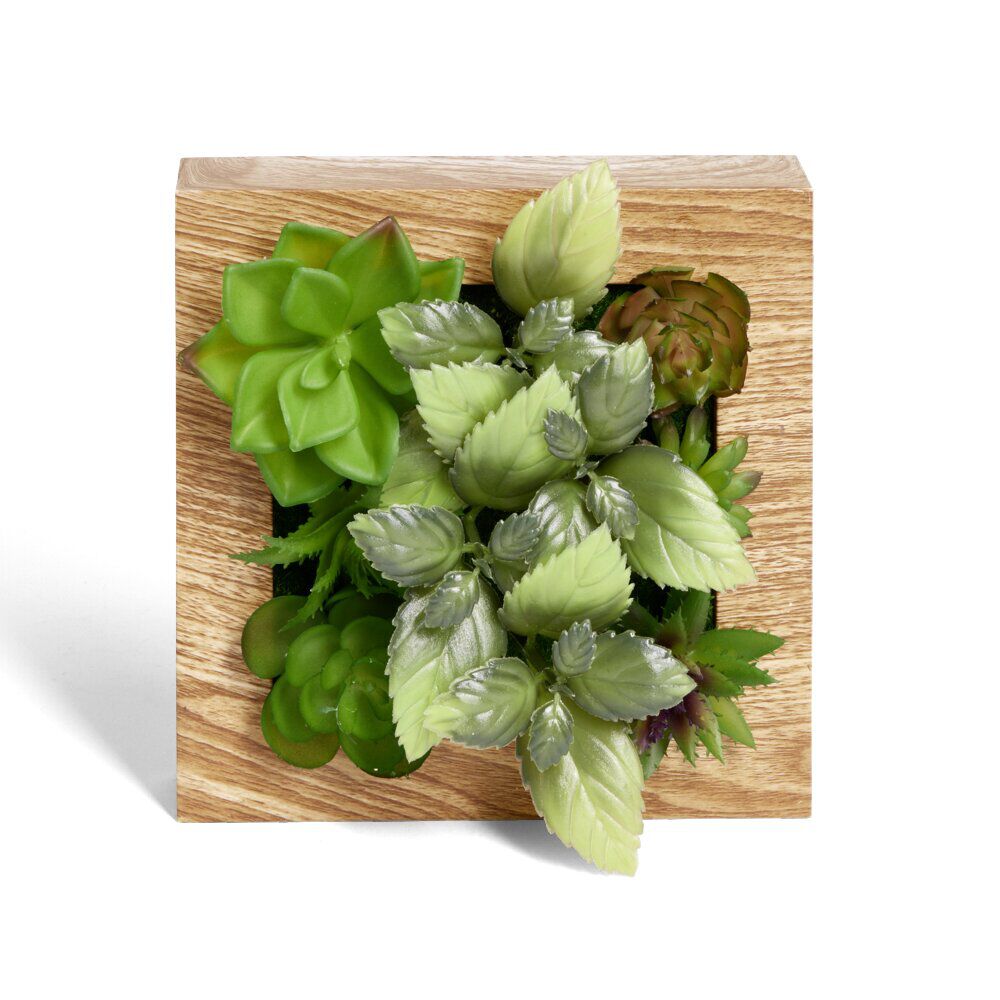 Plante artificielle décoration murale cadre bois naturel 20x20cm