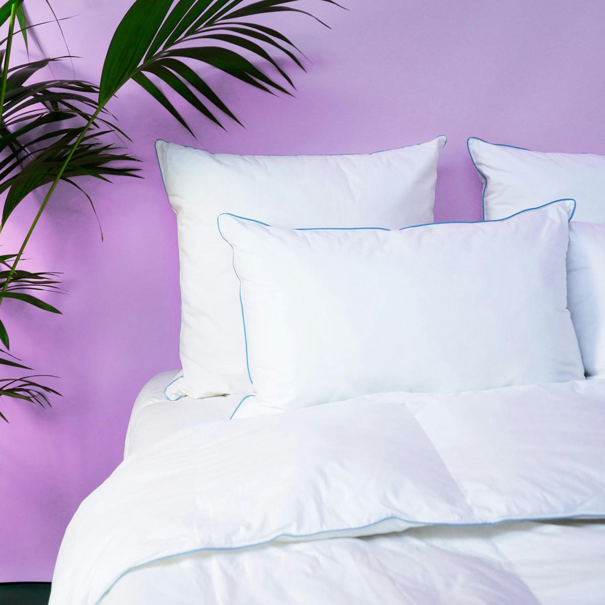 OLIVIER - Oreiller MEDIUM Sensation Duvet - Coton Bio  60x60 cm - Wake Me Green