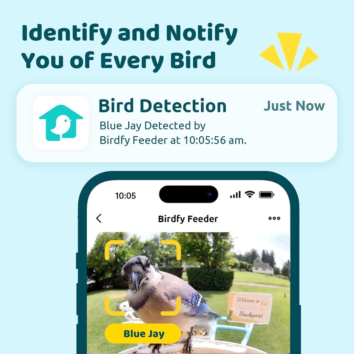 NETVUE by Birdfy Smart Bird Feeder with Camera Solar Power  Smart AI Birdwatching Camera  Auto Capture & Notify  Clear Day & Color Night Video & Pictures  Ideal Gift for Lover