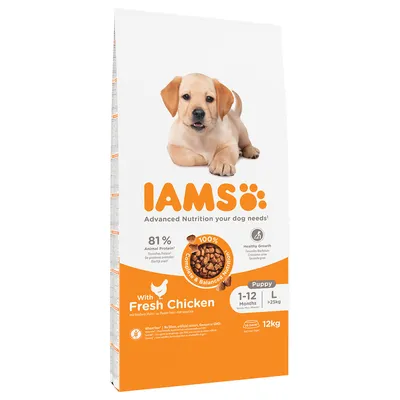 IAMS Advanced Nutrition Puppy & Junior Large Dog - Chicken