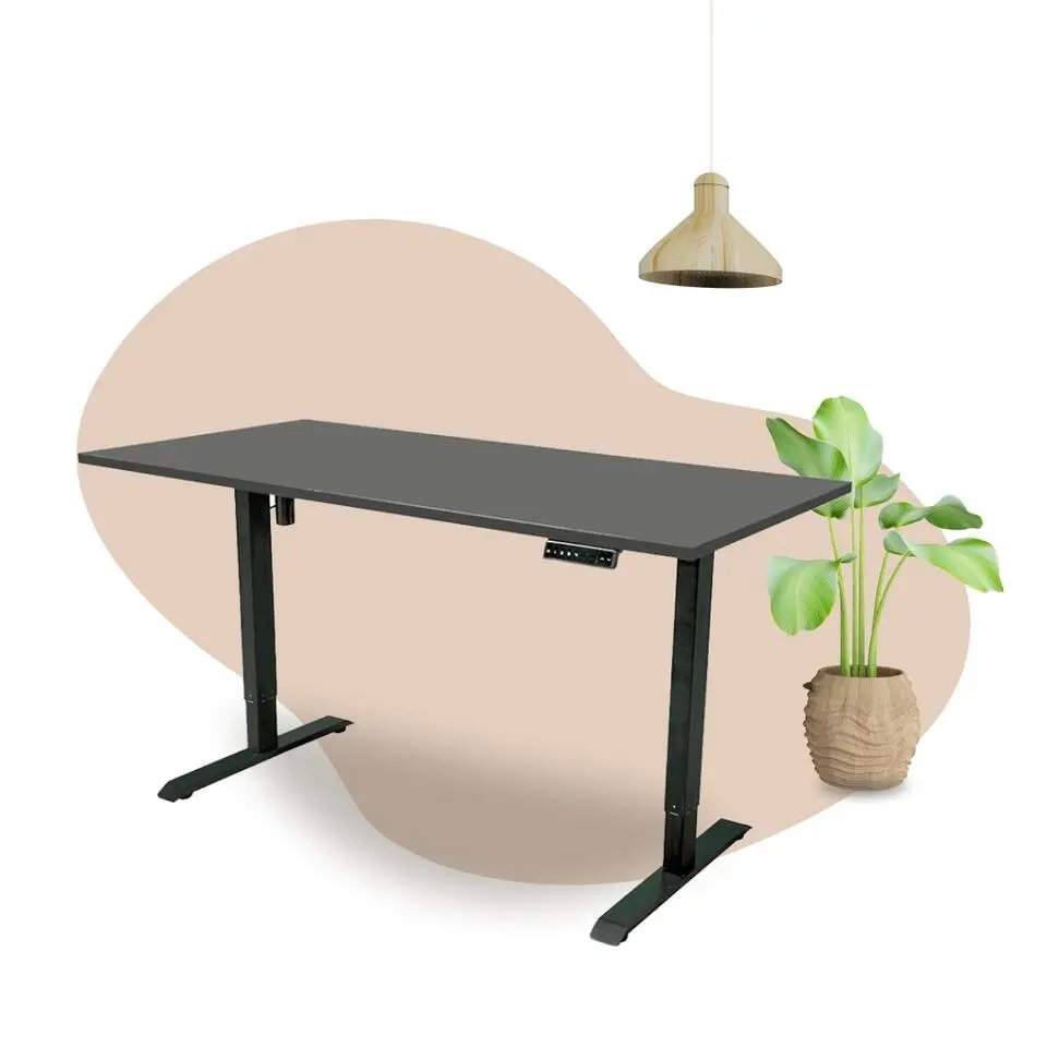 Elektrisch verstelbaar bureau - 180x80 cm - Single motor - Zwart / Antraciet