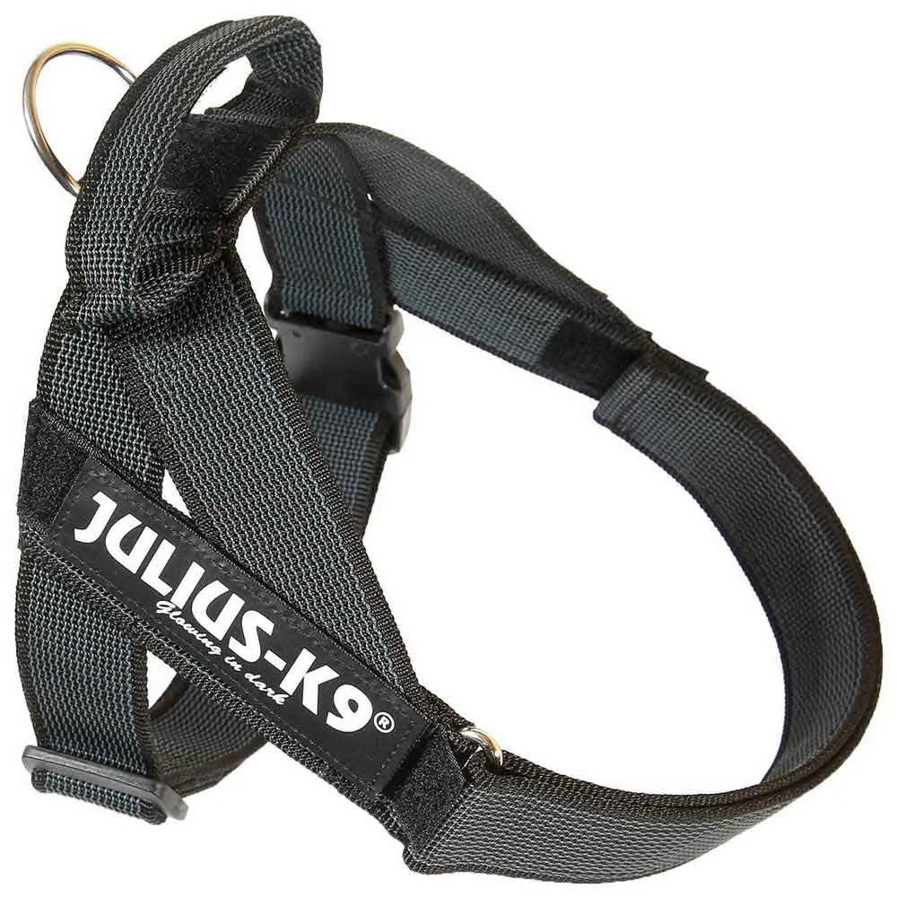 Julius K-9 IDC Norwegian dog harness