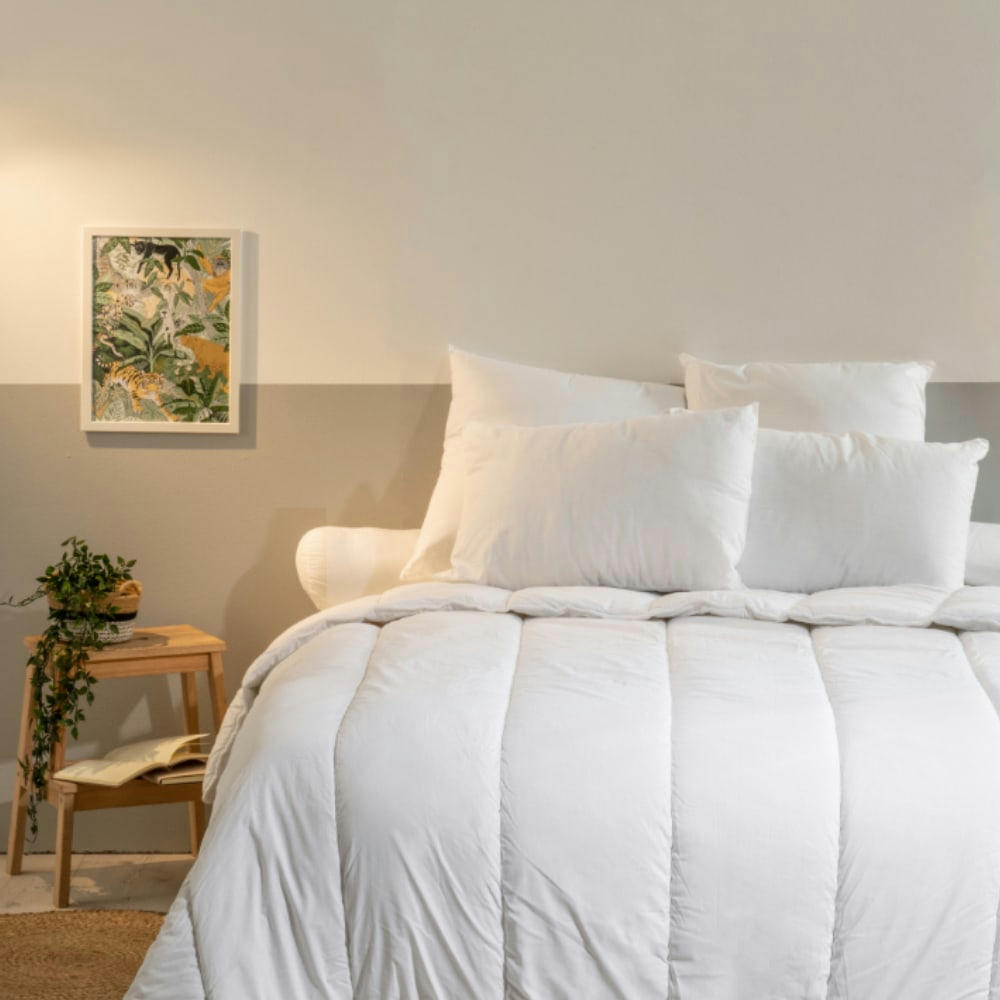 ANTI-ACARIENS - Lot de 2 oreillers ferme anti-acariens 60x60cm