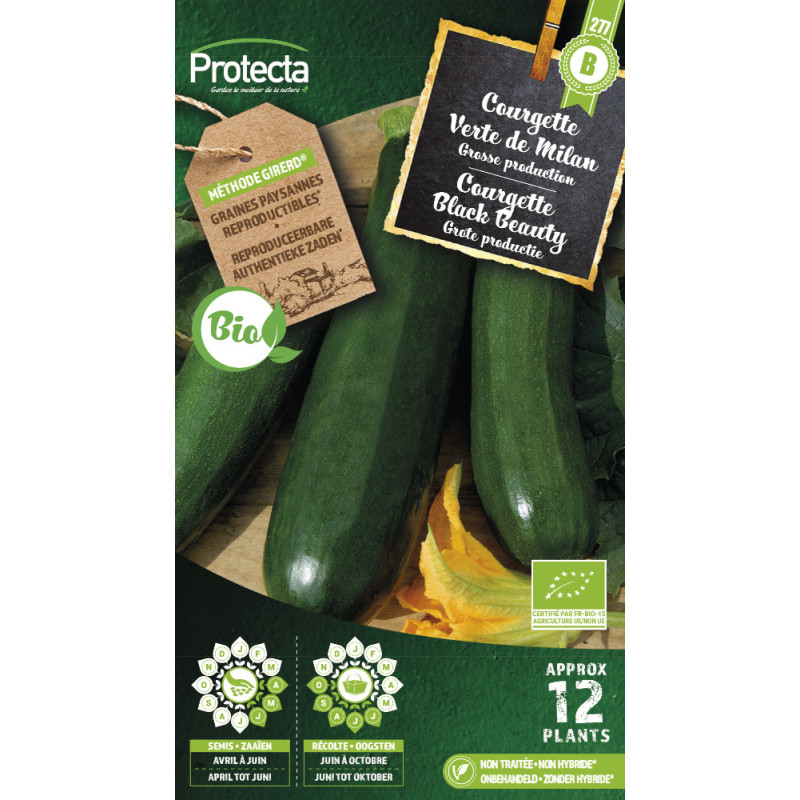 Semences de courgette Black Beauty Bio PROTECTA