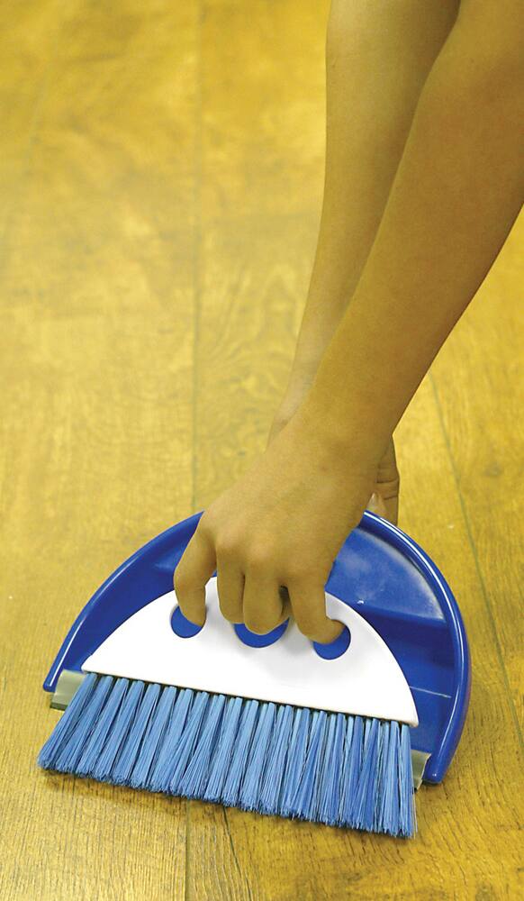 CAMCO 43945 Slim Dust Pan with Whisk, Blue/Purple