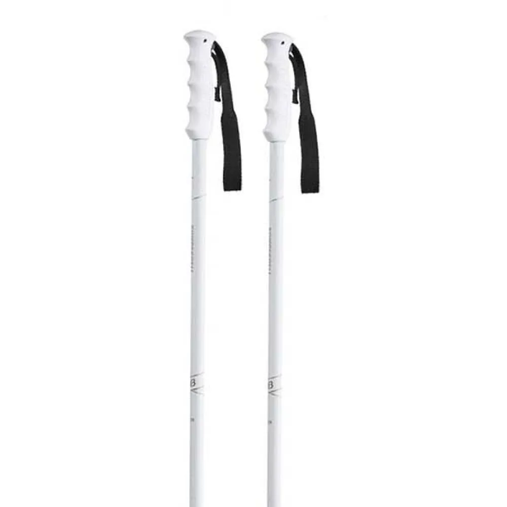 Komperdell Blazer poles