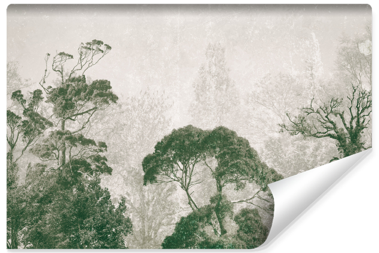 Fototapeta Las Tropikalny W Stylu Retro 90x60cm