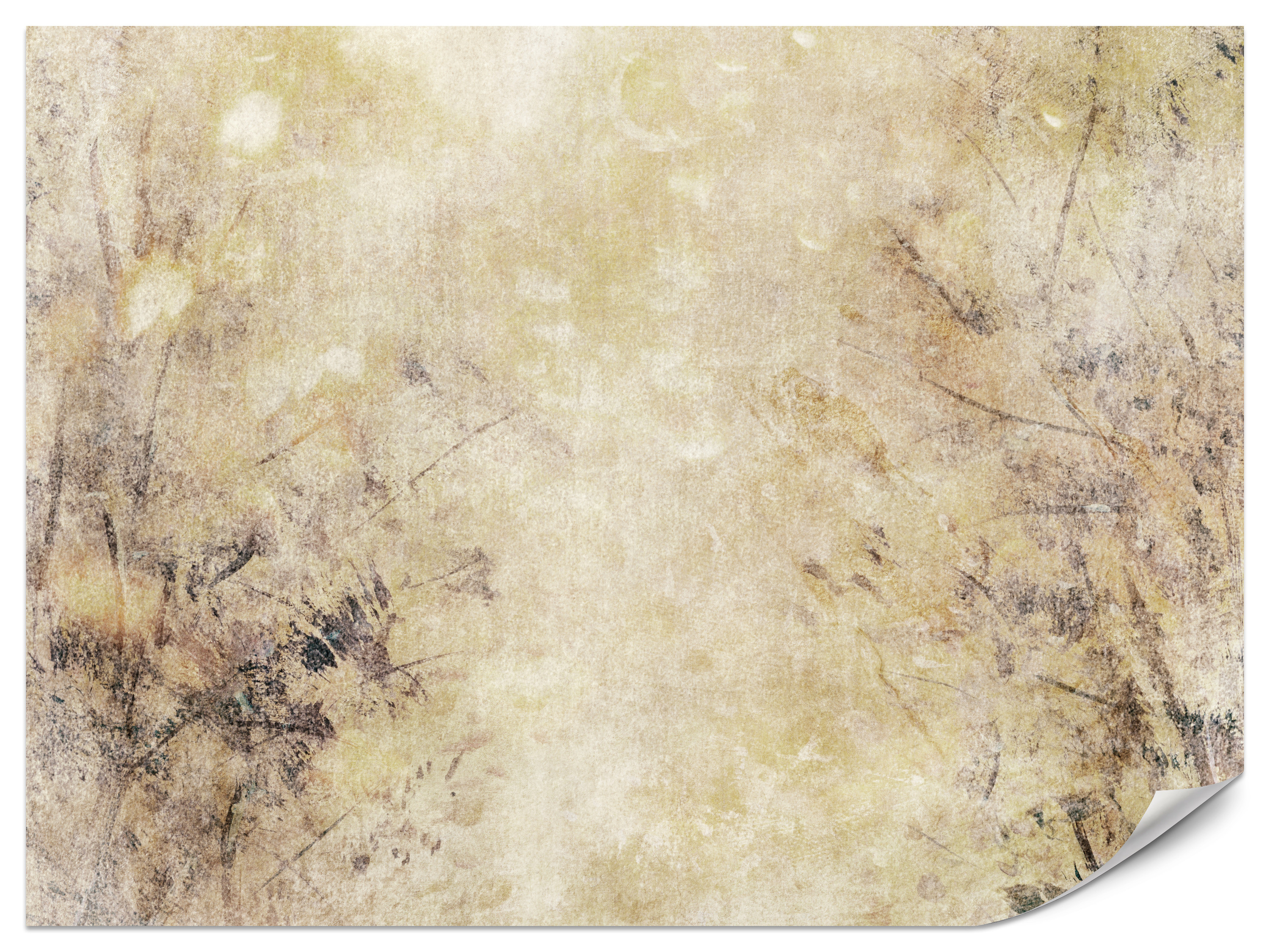 Fototapeta Mgliste kształty 100x70cm