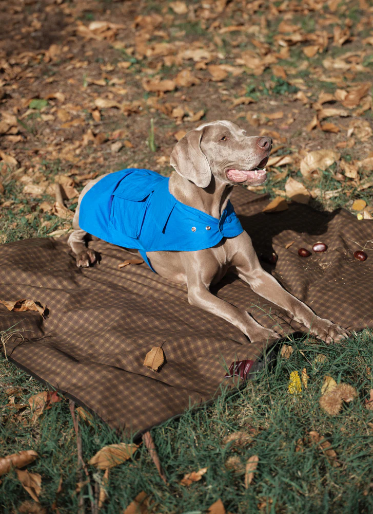 Light Weight Dog Coat