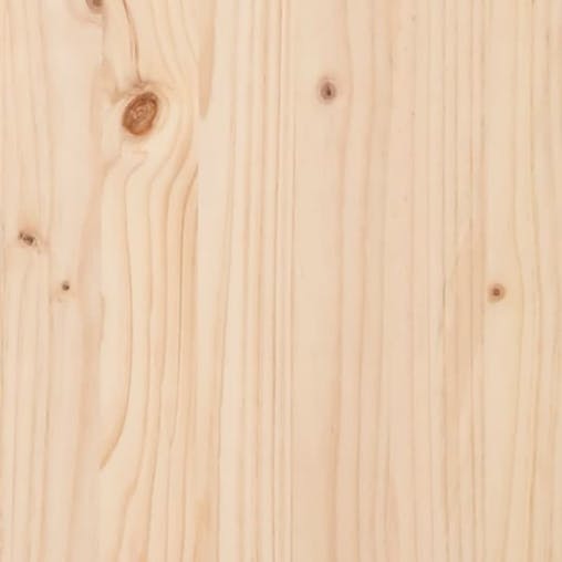 NNEVL Garden Box 101x50.5x46.5 cm Solid Wood Pine