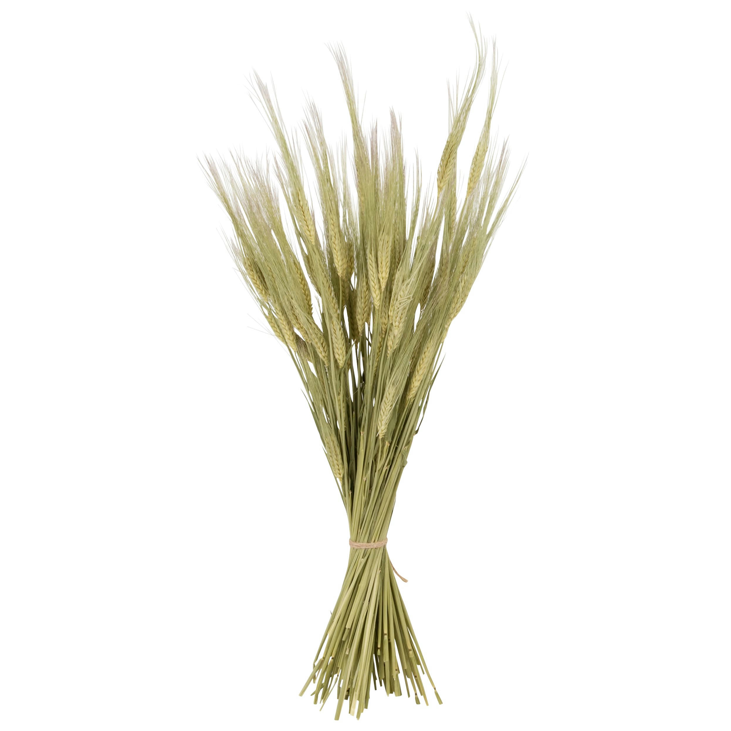 ROSANNE - Bouquet de fleurs séchées multicolores