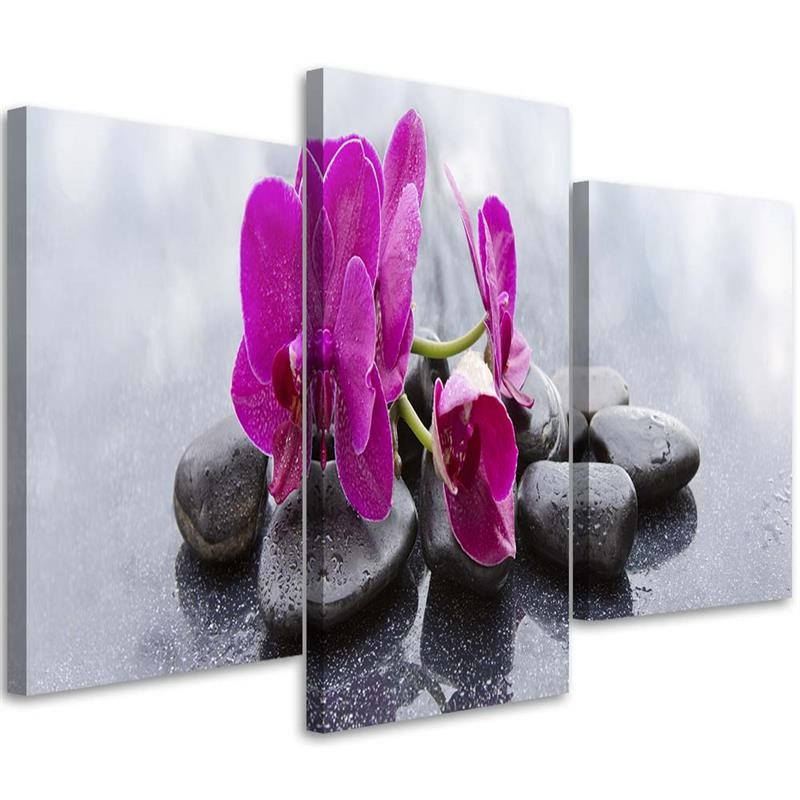Feeby Obraz tryptyk na płótnie Orchidea i kamienie 60x40
