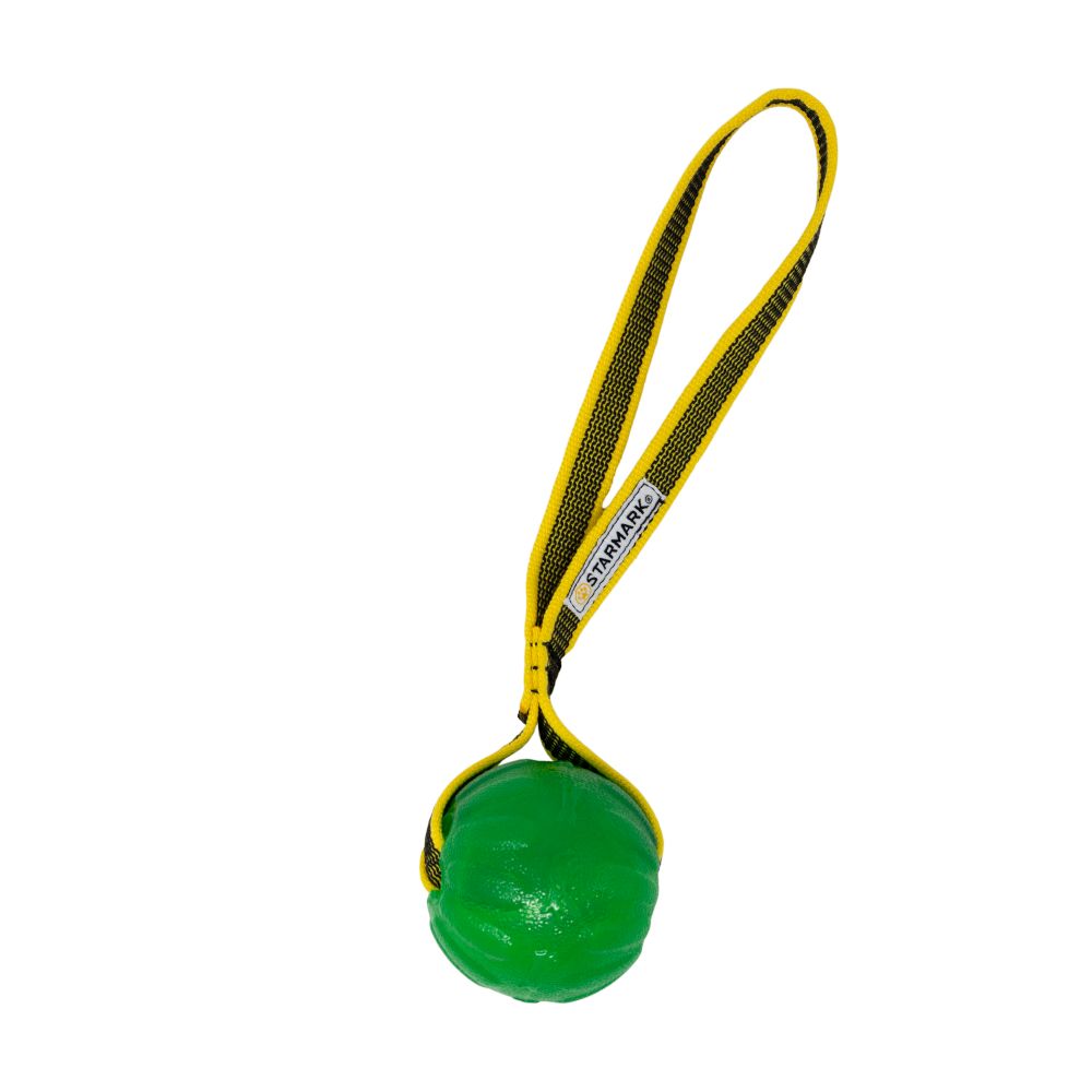Starmark GripCord Chew Ball Loop