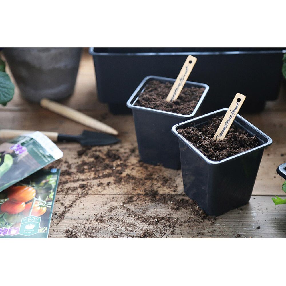 PLASTPOTTE NELSON GARDEN SVART 7X7CM 25STK