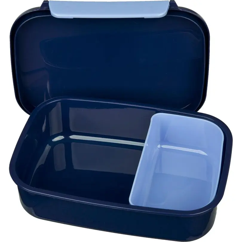 Lunch-Box Frozen