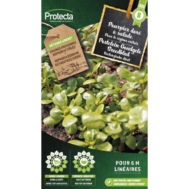 Semences de pourpier doré à salade PROTECTA
