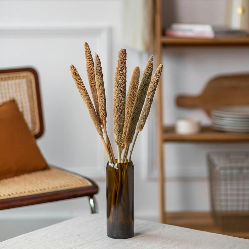 - Botte de Babala naturel